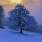 Nagradni foto natečaj z naslovom »LEPOTE HORJULSKE DOLINE«