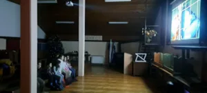Praznično druženje
