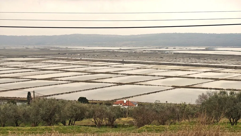 Barjani po Seški poti