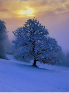 Začenja se nov natečaj Lepote horjulske doline 2025, vabljeni k sodelovanju