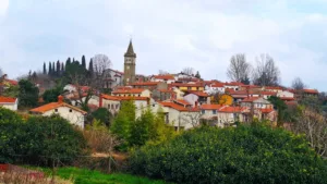Zimzeleni po desetih letih ponovili raziskovanje Šavrinskega gričevja