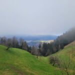 POIZVEDOVANJE – PROŠNJA ZA POMOČ