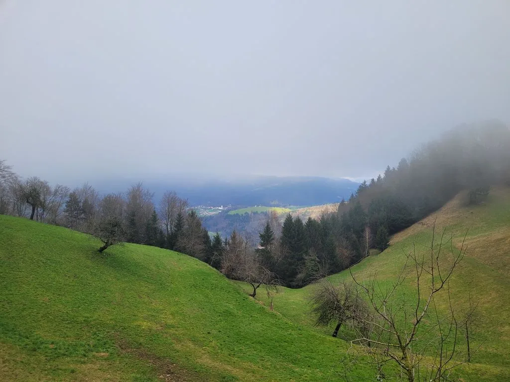 POIZVEDOVANJE – PROŠNJA ZA POMOČ