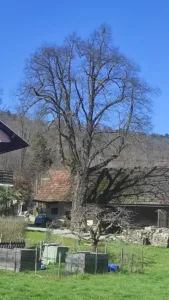 Pobeg v naravo