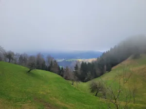 Dan Evrope – praznik miru, povezovanja in skupne prihodnosti