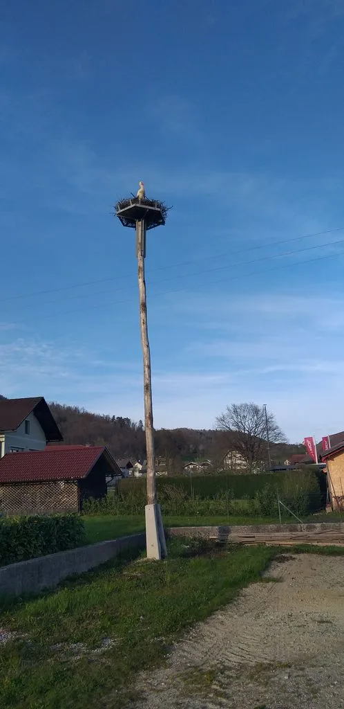 Nov drog in gnezdo za štorklje v Horjulu