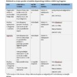 Tehnologija v vsakdanjem življenju – priložnost, ne ovira