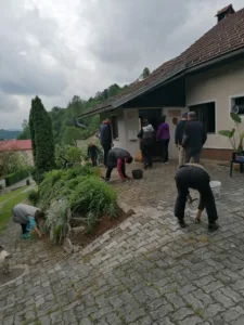 Čajanka