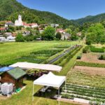 Okrogla 10. obletnica Dežele zelišč