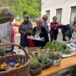 Dobro obiskana Flancarija in bolšji sejem v Dragomerju