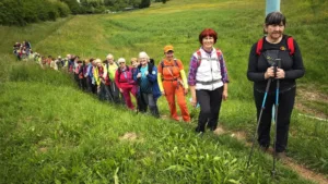 Izlet v Mestni gozd Panovec pri Novi Gorici in Samostan Kostanjevica nad Novo Gorico