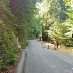 Za večjo varnost sanirali ceste na Samotorici in Koreni