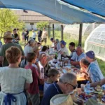 Poletna prireditev »Kosci in grabljice«