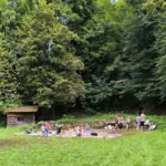 Dobrodelna         prireditev v Borovnici