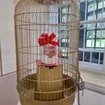 Sodelovanje naše krajanke na območni likovni razstavi