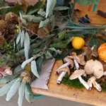 Ko zadiši po kostanju in dobri družbi