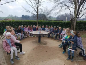 Drevesa, naši veliki prijatelji