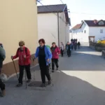 Zimzeleni po stičišču  Brkinov in kraškega sveta