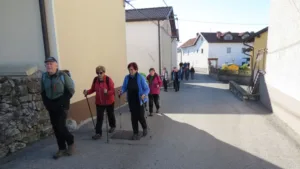 Zimzeleni po stičišču  Brkinov in kraškega sveta