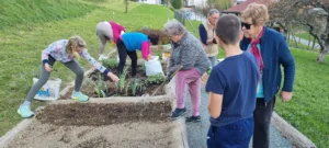 Šolski vrt si je nadel jesesnko podobo