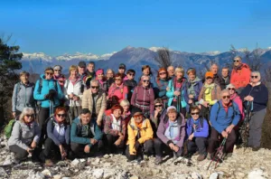 Sončki na Vojskarski planoti