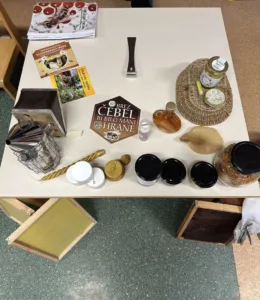 Obisk čebelark v vrtcu Log – Dragomer