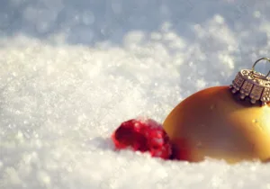 Drage planinke, planinci in bralci časopisa!