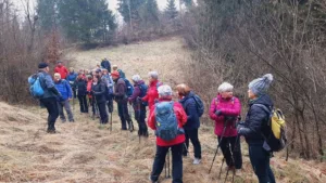 Barjani iz Kalc do Hotedršice