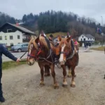 Blagoslov konj na Vrzdencu