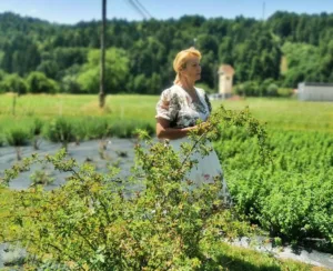 ”Rastlinice, pridelane pred našim nosom, nam resnično lahko pomagajo.”