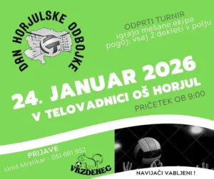 DAN HORJULSKE ODBOJKE