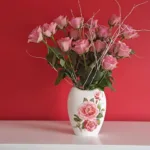 Dragica Krašovec – 70-letnica