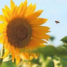 KGZS Zavod Ljubljana vabi na informativno izobraževanje