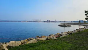 Zimzeleni  iz Žusterne do hotela Delfin