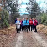 Zimzeleni  po okolici kraške vasi Avber – Pot kavadurjev