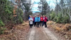 Zimzeleni  po okolici kraške vasi Avber – Pot kavadurjev