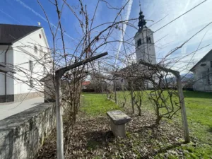 Ob 75. Sosedovem dnevu spoznavamo svoje korenine, 7.3. obrezujemo trto ter sadno drevje in še kaj