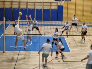 Dan horjulske odbojke