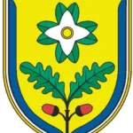 Kategorizirane ceste in njihovo lastništvo