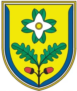 Kategorizirane ceste in njihovo lastništvo