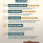 Kako ukrepati, ko naletimo na medveda?