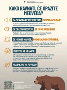 Kako ukrepati, ko naletimo na medveda?