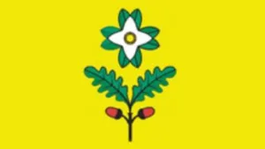 Pobude za spremembo namenske rabe sprejemamo do 31. julija