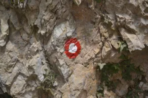 Osvajajmo vrhove v naši občini