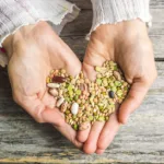 Vabljeni na izmenjevalnico sadik in semen ter predavanje