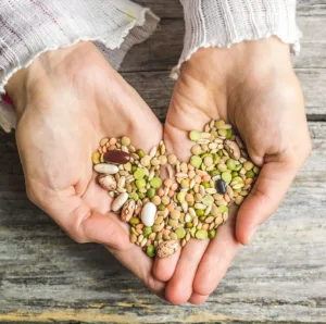 Vabljeni na izmenjevalnico sadik in semen ter predavanje