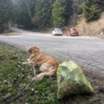 Čista narava je ogledalo skupnosti