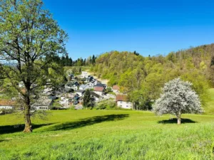 Postavili smo temelje za pripravo strategije razvoja občine 2026–2035