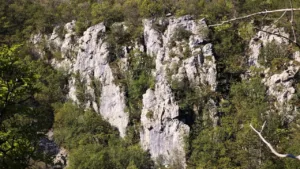 Barjani po krasoslovno naravoslovni poti Risnik
