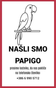 Najdena papiga